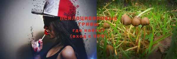 спайс Балахна