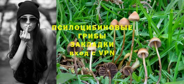 стафф Балабаново