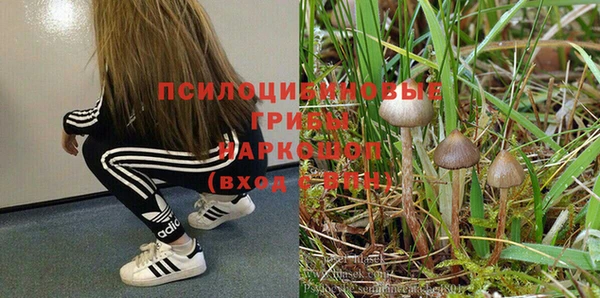 стафф Балабаново